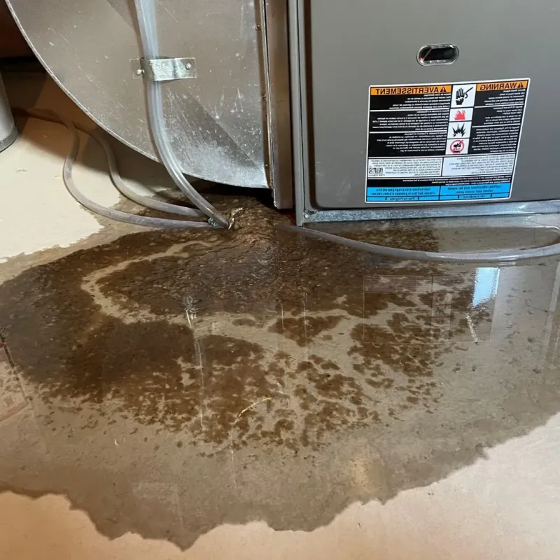 Pipe Burst and Leak Restoration in Marlow, OK