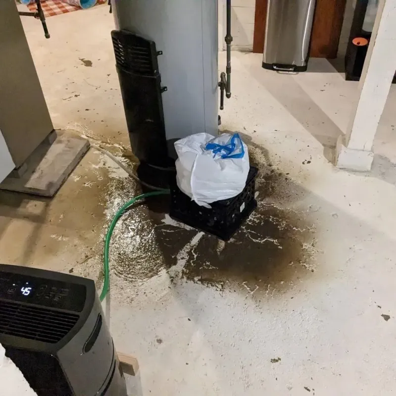 Sewage Backup Cleanup Service in Marlow, OK